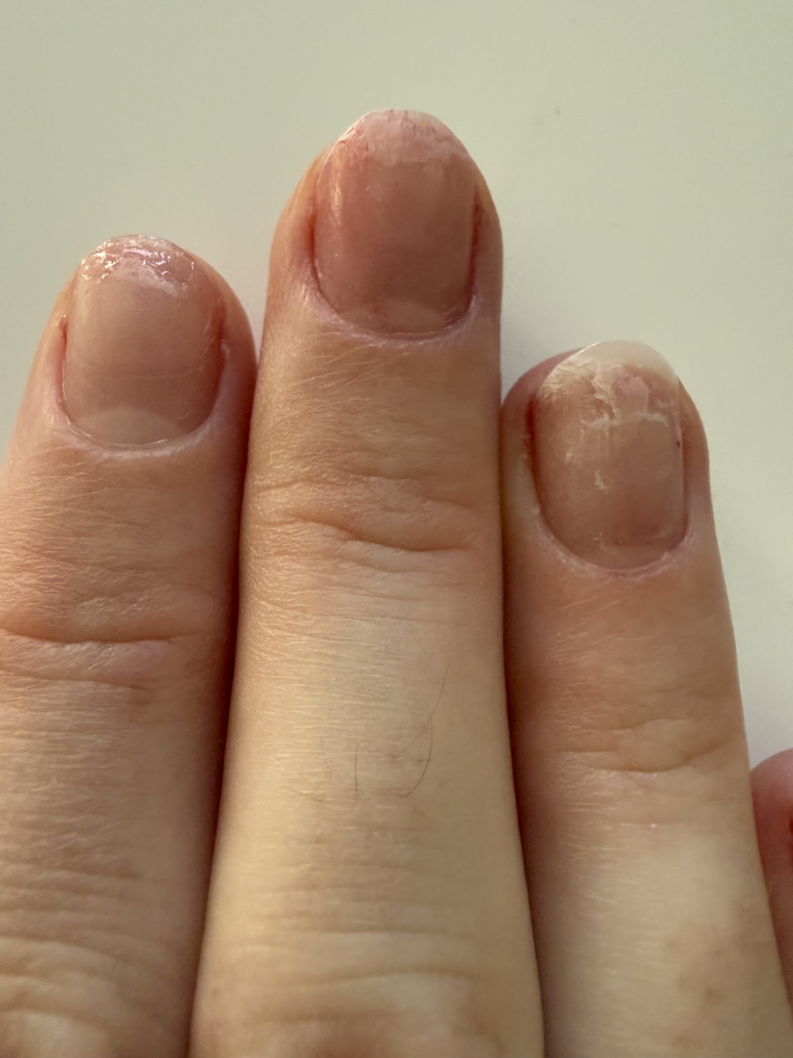 Envy Nails Spa nail photo 6